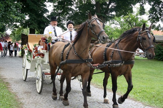 By chleba nikomu nie zabrakło - zdjęcia