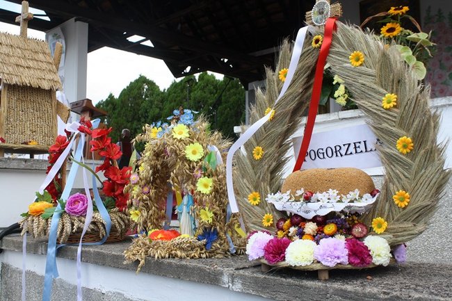 By chleba nikomu nie zabrakło - zdjęcia