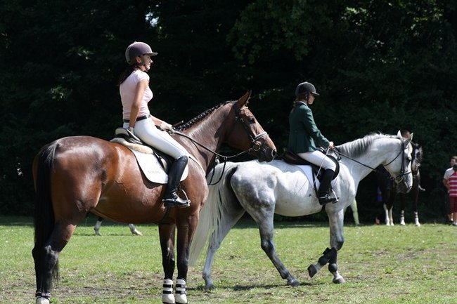 Rośnie prestiż zawodów - zdjęcia