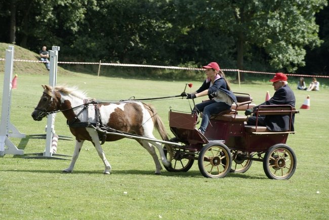 Rośnie prestiż zawodów - zdjęcia