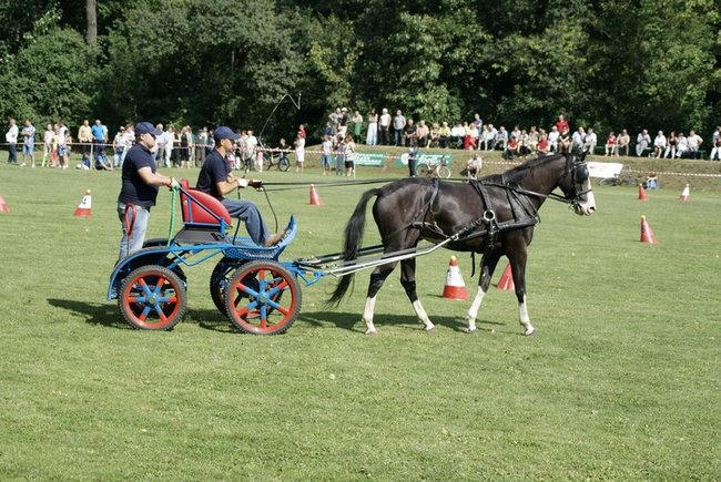 Rośnie prestiż zawodów - zdjęcia