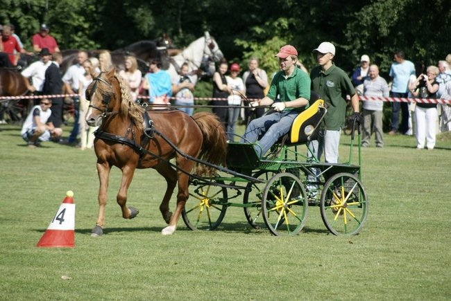 Rośnie prestiż zawodów - zdjęcia