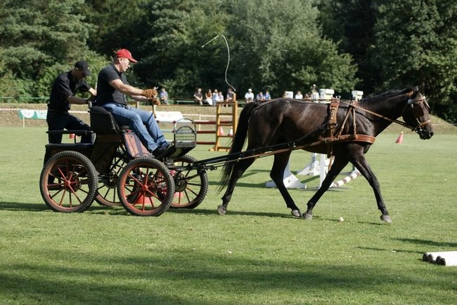 Rośnie prestiż zawodów - zdjęcia
