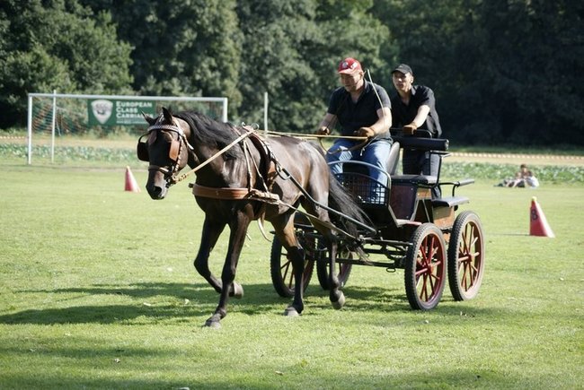 Rośnie prestiż zawodów - zdjęcia