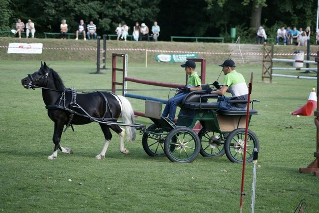 Rośnie prestiż zawodów - zdjęcia