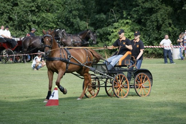 Rośnie prestiż zawodów - zdjęcia