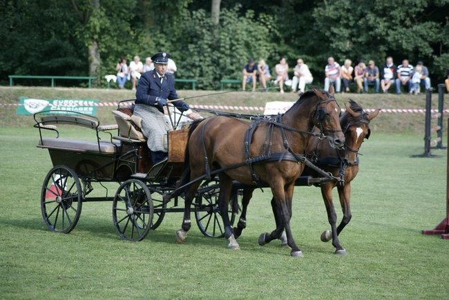 Rośnie prestiż zawodów - zdjęcia