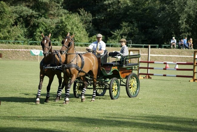 Rośnie prestiż zawodów - zdjęcia