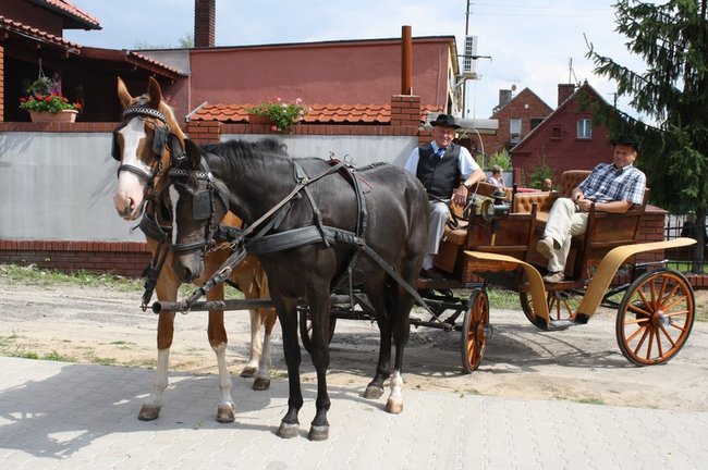 Dożynki w rękach młodych - zdjęcia