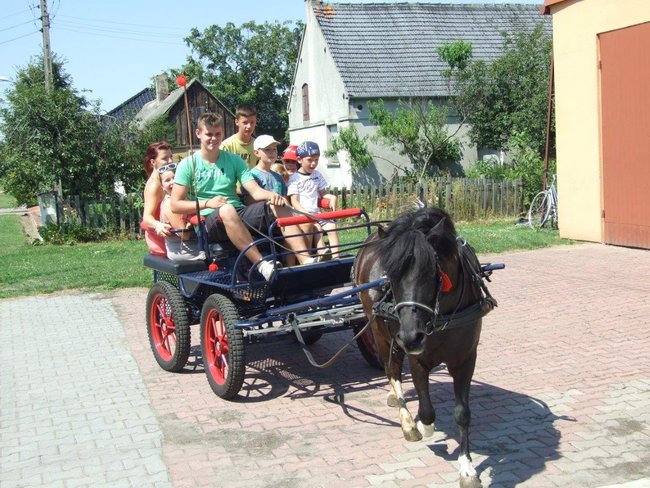Nie nudzili się podczas żniw