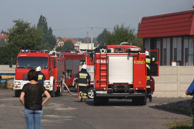 Ewakuowano pracowników - zdjęcia