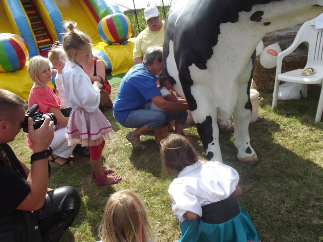 Mleczna uczta w Kościuszkowie - zdjęcia