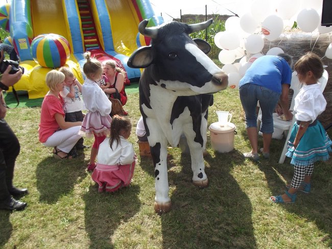 Mleczna uczta w Kościuszkowie - zdjęcia