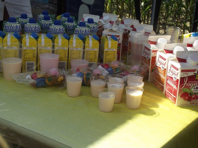 Mleczna uczta w Kościuszkowie - zdjęcia