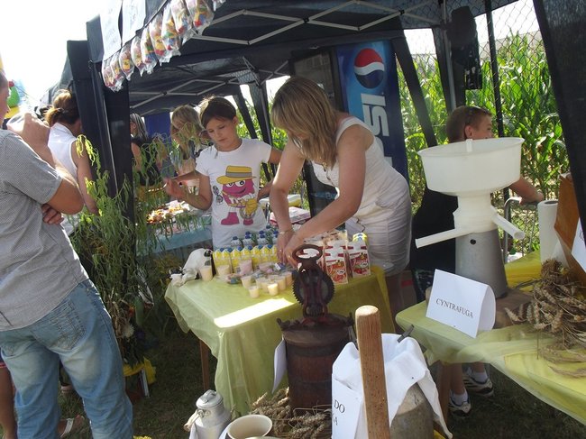 Mleczna uczta w Kościuszkowie - zdjęcia