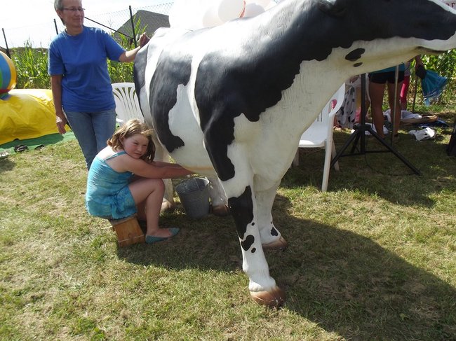 Mleczna uczta w Kościuszkowie - zdjęcia