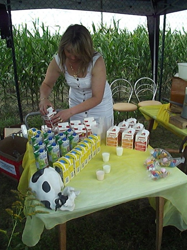 Mleczna uczta w Kościuszkowie - zdjęcia