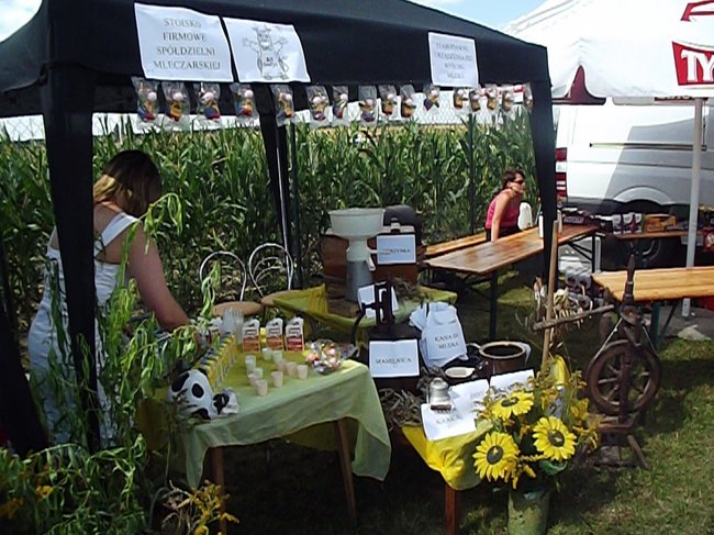 Mleczna uczta w Kościuszkowie - zdjęcia