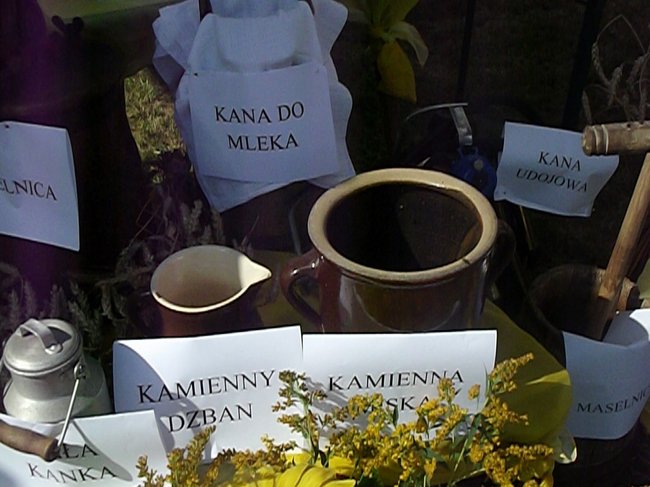 Mleczna uczta w Kościuszkowie - zdjęcia