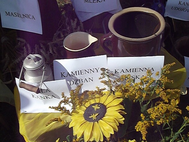 Mleczna uczta w Kościuszkowie - zdjęcia