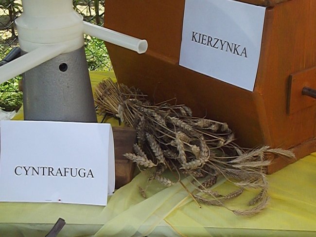 Mleczna uczta w Kościuszkowie - zdjęcia