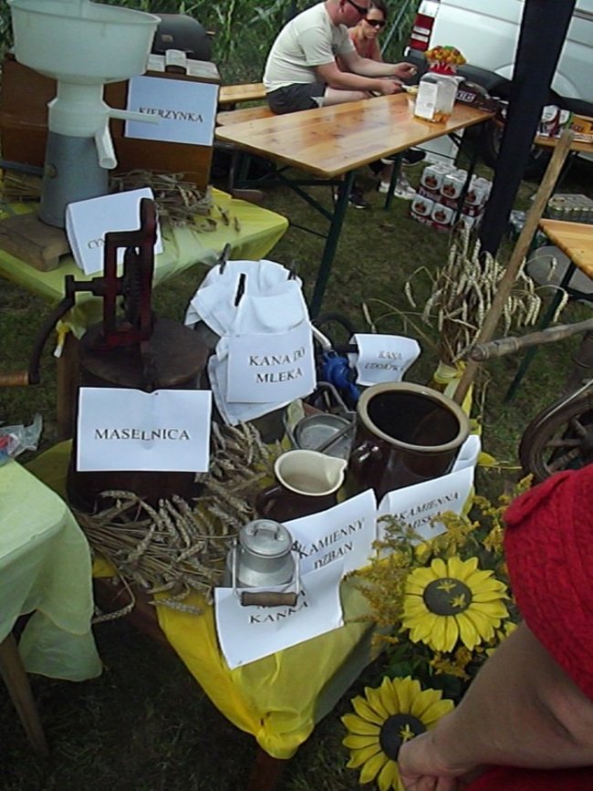 Mleczna uczta w Kościuszkowie - zdjęcia