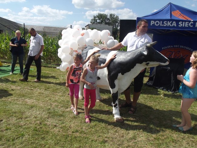 Mleczna uczta w Kościuszkowie - zdjęcia