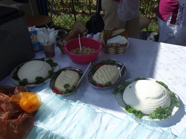 Mleczna uczta w Kościuszkowie - zdjęcia