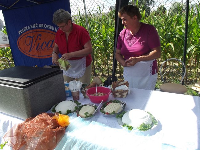 Mleczna uczta w Kościuszkowie - zdjęcia
