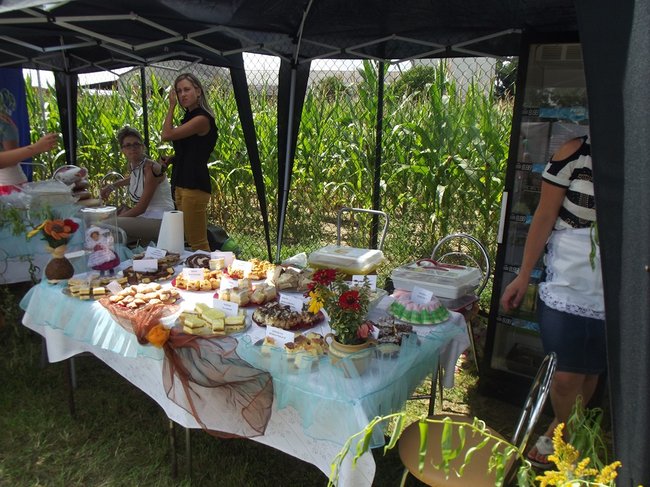 Mleczna uczta w Kościuszkowie - zdjęcia