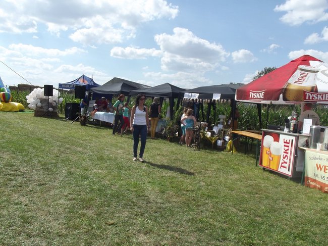 Mleczna uczta w Kościuszkowie - zdjęcia