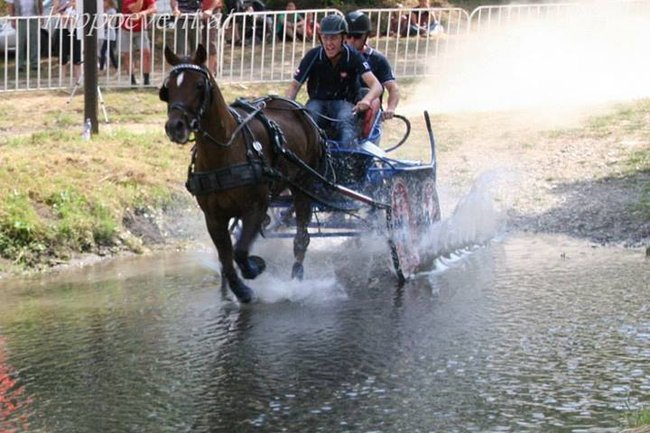 Wykorzystał szansę na złoto - zdjęcia