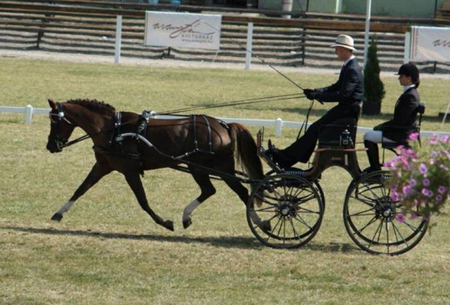 Wykorzystał szansę na złoto - zdjęcia