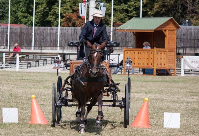 Wykorzystał szansę na złoto - zdjęcia