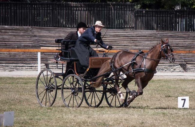 Wykorzystał szansę na złoto - zdjęcia