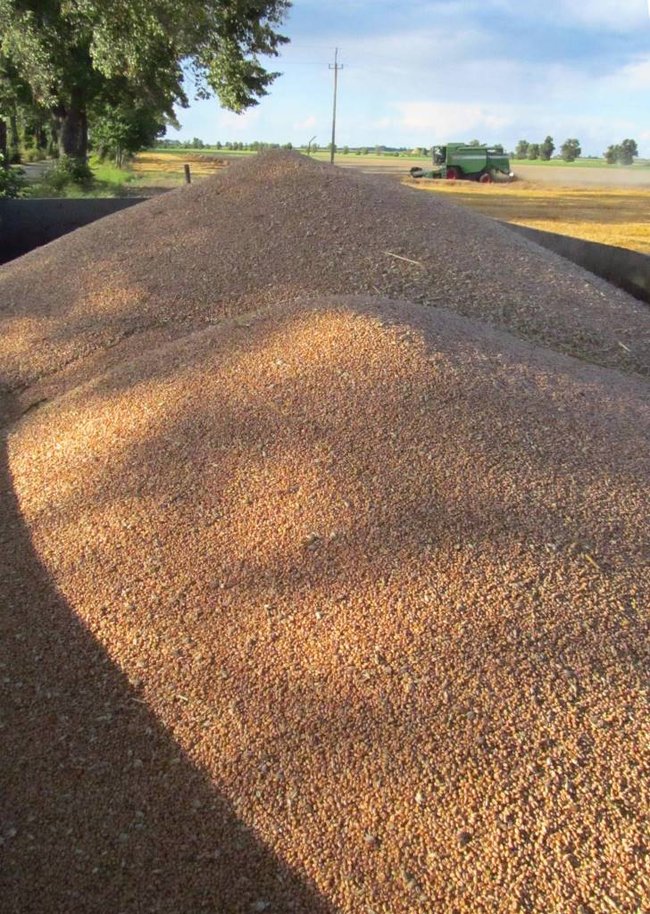 Opłacalna inwestycja - zdjęcia