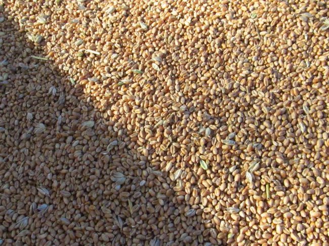 Opłacalna inwestycja - zdjęcia