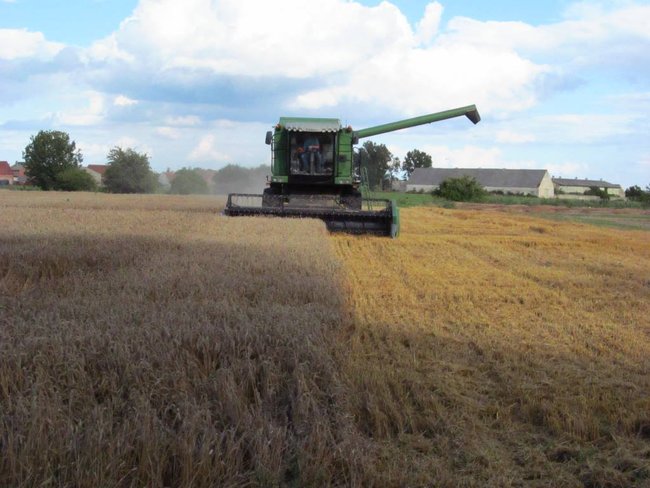 Opłacalna inwestycja - zdjęcia