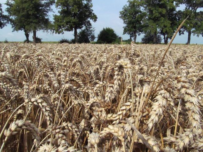 Opłacalna inwestycja - zdjęcia