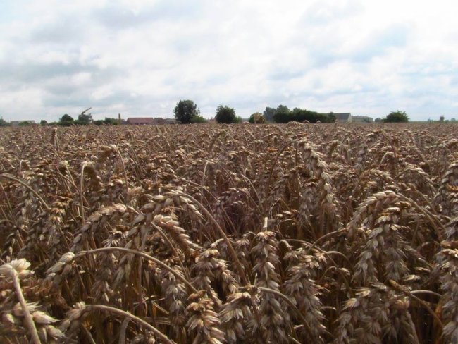 Opłacalna inwestycja - zdjęcia