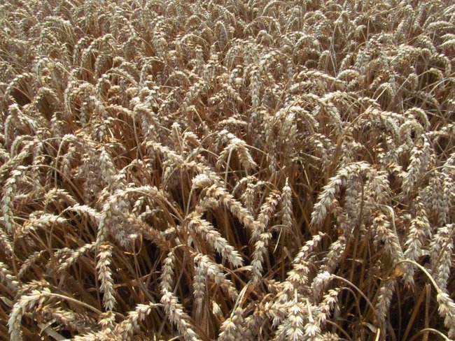 Opłacalna inwestycja - zdjęcia