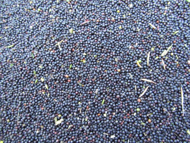 Opłacalna inwestycja - zdjęcia