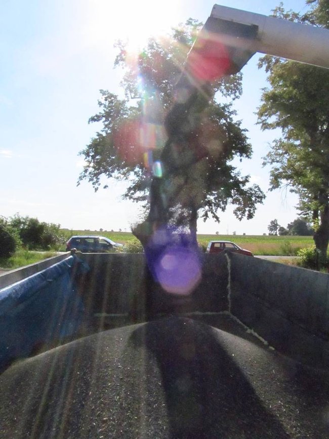 Opłacalna inwestycja - zdjęcia