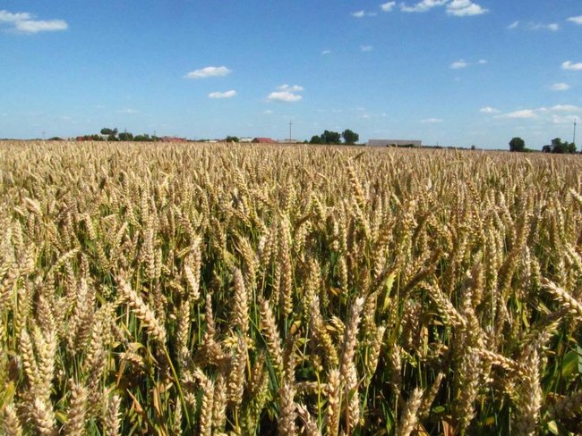 Opłacalna inwestycja - zdjęcia