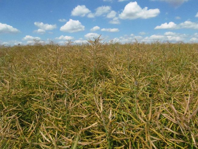 Opłacalna inwestycja - zdjęcia