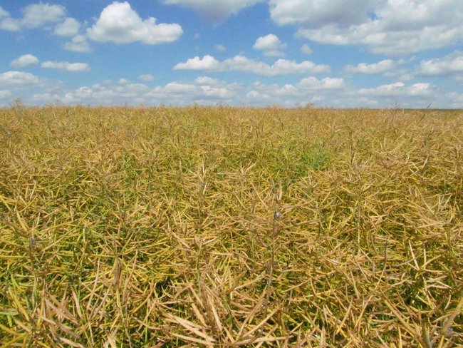 Opłacalna inwestycja - zdjęcia