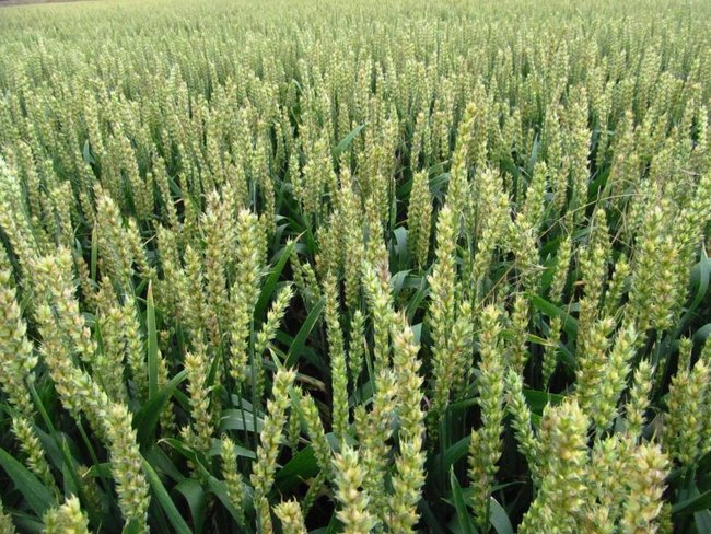 Opłacalna inwestycja - zdjęcia