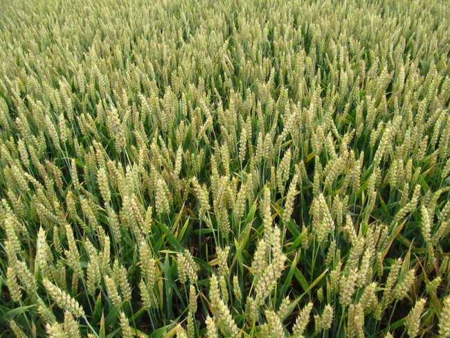 Opłacalna inwestycja - zdjęcia