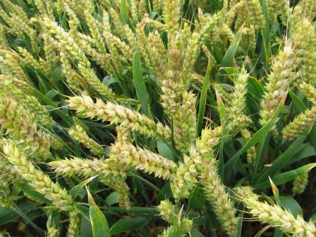 Opłacalna inwestycja - zdjęcia