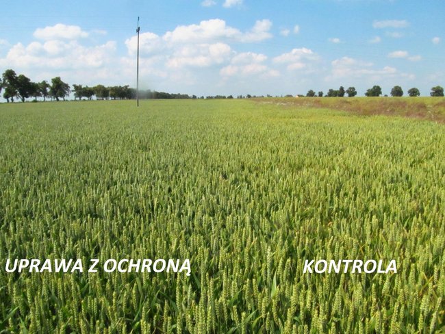 Opłacalna inwestycja - zdjęcia